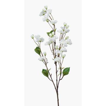 Ramo decorativo di ciliegio ornamentale AKEMI con fiori, bianco, 90 cm Ramo decorativo di ciliegio ornamentale AKEMI con fiori, bianco, 90 cm