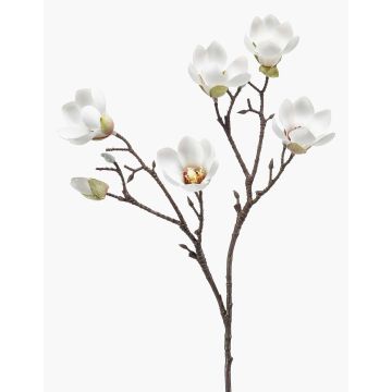 Magnolia artificiale ANEU, color crema, 65 cm, Ø 7-8 cm