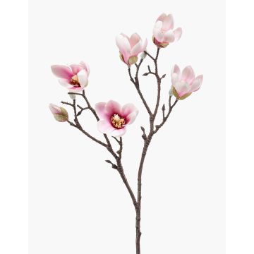 Magnolia artificiale ANEU, rosa, 65 cm, Ø 7-8 cm Magnolia artificiale ANEU, rosa, 65 cm, Ø 7-8 cm
