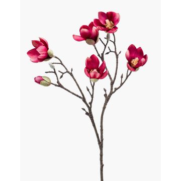 Magnolia artificiale ANEU, rosa shocking, 65 cm, Ø 7-8 cm Magnolia artificiale ANEU, rosa shocking, 65 cm, Ø 7-8 cm