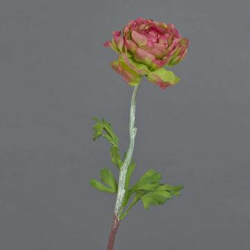Ranuncolo artificiale ELORIO, rosa-verde, 50 cm, Ø 10 cm Ranuncolo artificiale ELORIO, rosa-verde, 50 cm, Ø 10 cm