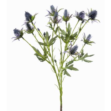 Ramo decorativo di cardo nobile CUACOS, blu, 70 cm, Ø 2-3 cm Ramo decorativo di cardo nobile CUACOS, blu, 70 cm, Ø 2-3 cm