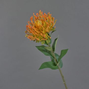 Fiore artificiale a forma di cuscino porta spilli Protea HERVAS, arancione, 70 cm, Ø 12 cm