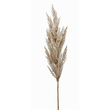 Ramo decorativo di erba della pampa a pannocchia BATERNO, color crema, 90 cm Ramo decorativo di erba della pampa a pannocchia BATERNO, color crema, 90 cm