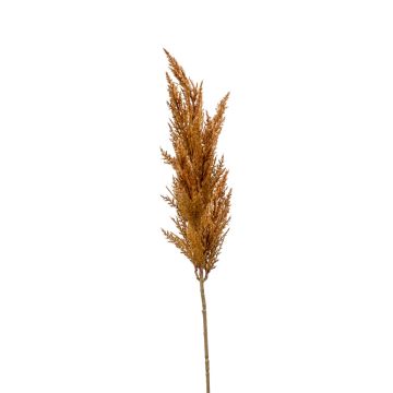 Ramo decorativo di erba della pampa con pannocchia BATERNO, marrone, 90 cm Ramo decorativo di erba della pampa con pannocchia BATERNO, marrone, 90 cm