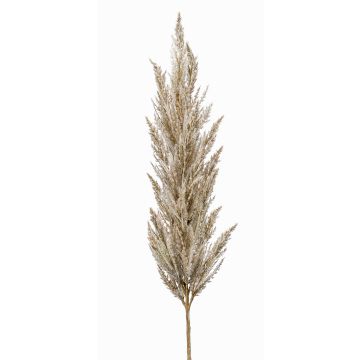 Ramo decorativo di erba della pampa con pannocchia BATERNO, color crema, 115 cm Ramo decorativo di erba della pampa con pannocchia BATERNO, color crema, 115 cm