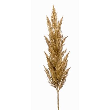 Ramo decorativo di erba della pampa con pannocchia BATERNO, marrone chiaro, 115 cm Ramo decorativo di erba della pampa con pannocchia BATERNO, marrone chiaro, 115 cm
