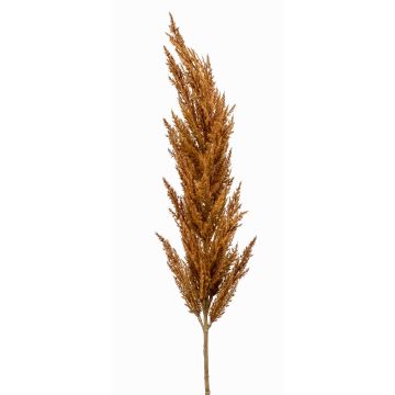 Ramo decorativo di erba della pampa con pannocchia BATERNO, marrone, 115 cm Ramo decorativo di erba della pampa con pannocchia BATERNO, marrone, 115 cm