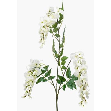 Ramo di glicine artificiale ONORATO con fiori, color crema, 70 cm Ramo di glicine artificiale ONORATO con fiori, color crema, 70 cm