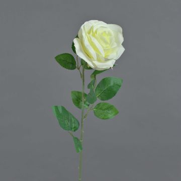 Rosa artificiale PEZOS, color crema, 60 cm, Ø 10 cm Rosa artificiale PEZOS, color crema, 60 cm, Ø 10 cm