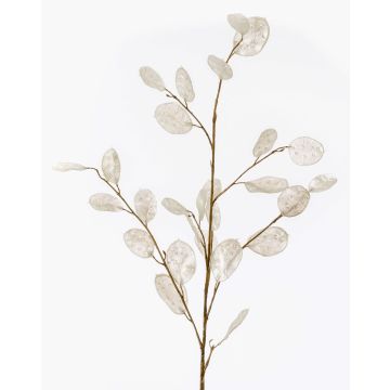 Ramo decorativo Lunaria BUELNA, color crema, 105cm Ramo decorativo Lunaria BUELNA, color crema, 105cm