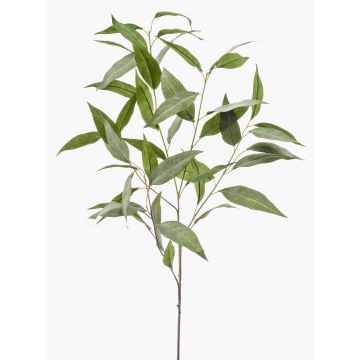 Ramo di ligustro artificiale JUSTEL, verde-grigio, 95 cm Ramo di ligustro artificiale JUSTEL, verde-grigio, 95 cm