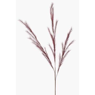 Ramo decorativo di erba piumata a pannocchia YECORA, rosso bordeaux, 130 cm Ramo decorativo di erba piumata a pannocchia YECORA, rosso bordeaux, 130 cm