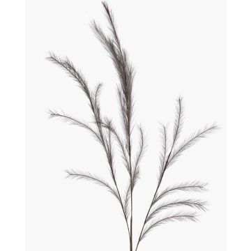 Ramo decorativo di erba piumata a pannocchia YECORA, grigio, 130 cm