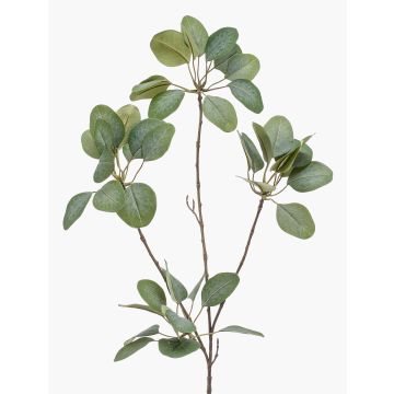 Ramo artificiale di eucalipto KRISZTOFER, verde, 90 cm Ramo artificiale di eucalipto KRISZTOFER, verde, 90 cm