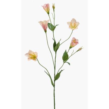 Ramo artificiale di lisianthus PAZAN, rosa-crema, 70 cm, Ø 3-5 cm Ramo artificiale di lisianthus PAZAN, rosa-crema, 70 cm, Ø 3-5 cm
