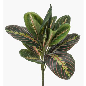 Pianta artificiale arrowroot SITULA su stelo, verde-rosso, 30 cm