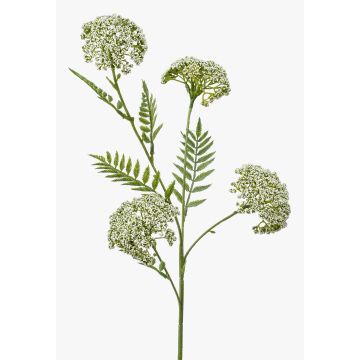 Ramo artificiale di achillea THUBAN, color crema, 60 cm, Ø 6-7 cm Ramo artificiale di achillea THUBAN, color crema, 60 cm, Ø 6-7 cm