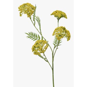 Ramo artificiale di achillea THUBAN, giallo, 60 cm, Ø 6-7 cm Ramo artificiale di achillea THUBAN, giallo, 60 cm, Ø 6-7 cm