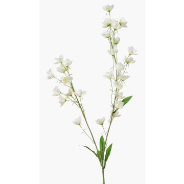 Ramo decorativo di ranuncolo LOTA, color crema, 90 cm, Ø 3-4 cm Ramo decorativo di ranuncolo LOTA, color crema, 90 cm, Ø 3-4 cm