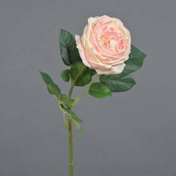 Rosa artificiale Kohl-Rose CATINCA, rosa tenue, 60 cm, Ø 9 cm Rosa artificiale Kohl-Rose CATINCA, rosa tenue, 60 cm, Ø 9 cm