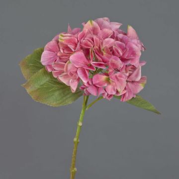 Ortensia artificiale AMARILDO, rosa-verde, 45 cm, Ø 16 cm Ortensia artificiale AMARILDO, rosa-verde, 45 cm, Ø 16 cm