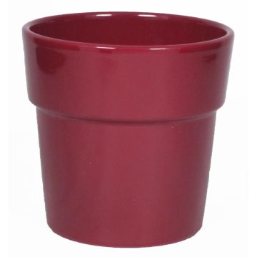Vaso per orchidee MARIVAN, ceramica, rosso vino, 12,5cm, Ø13,5cm Vaso per orchidee MARIVAN, ceramica, rosso vino, 12,5cm, Ø13,5cm