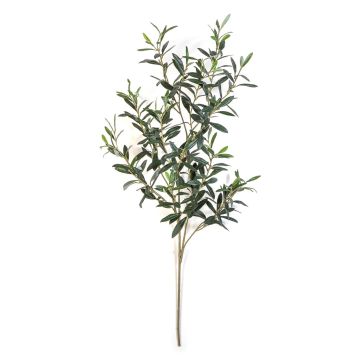 Ramo d'ulivo artificiale LORRIS, difficilmente infiammabile, verde, 110cm Ramo d'ulivo artificiale LORRIS, difficilmente infiammabile, verde, 110cm