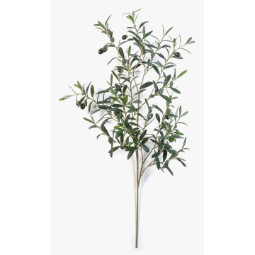 Ramo d'ulivo artificiale LORRIS, con frutti, verde, 110cm Ramo d'ulivo artificiale LORRIS, con frutti, verde, 110cm