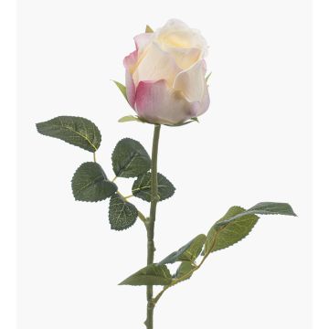 Rosa artificiale DIXLEN, bianco-rosa, 70 cm, Ø 7 cm Rosa artificiale DIXLEN, bianco-rosa, 70 cm, Ø 7 cm