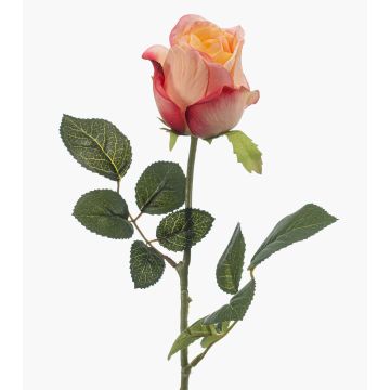 Rosa artificiale DIXLEN, rosa pesca, 70 cm, Ø 7 cm