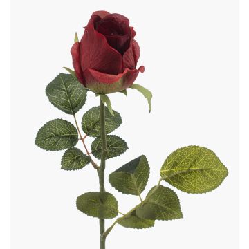 Rosa artificiale DIXLEN, rosso scuro-verde, 70 cm, Ø 7 cm Rosa artificiale DIXLEN, rosso scuro-verde, 70 cm, Ø 7 cm