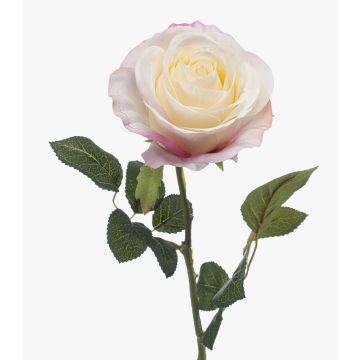 Rosa artificiale BRUNETTE, bianco-rosa, 70 cm, Ø 11 cm Rosa artificiale BRUNETTE, bianco-rosa, 70 cm, Ø 11 cm