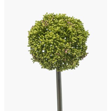 Fiore artificiale Allium TUXLON, verde, 75 cm
