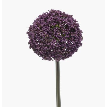 Fiore artificiale Allium TUXLON, viola scuro, 75 cm