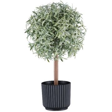 Rosmarino artificiale a fusto alto WINDAR, effetto ghiacciato, vaso decorativo, verde-bianco, 26 cm