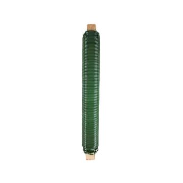Filo da fiorista ZELISA, verde, 100 g, 33 m, Ø 0,65 mm Filo da fiorista ZELISA, verde, 100 g, 33 m, Ø 0,65 mm