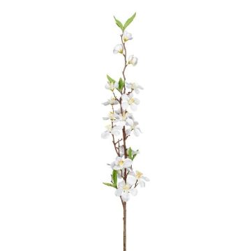 Ramo di fiori di melo artificiale KROVER con fiori, bianco, 80cm, Ø3-5cm Ramo di fiori di melo artificiale KROVER con fiori, bianco, 80cm, Ø3-5cm