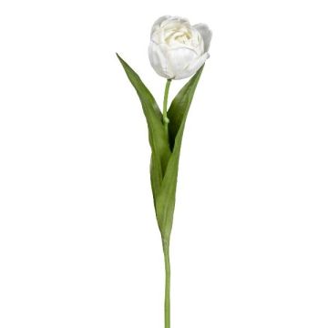 Fiore decorativo tulipano TRIFT, bianco-verde, 50cm, Ø4,5cm Fiore decorativo tulipano TRIFT, bianco-verde, 50cm, Ø4,5cm