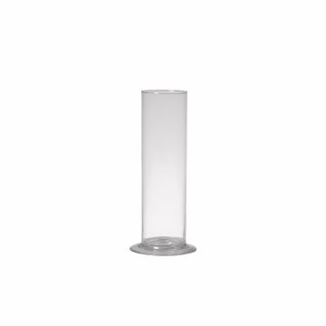Vaso da fiori singoli ABIRAMY in vetro, base, trasparente 20cm, Ø6cm