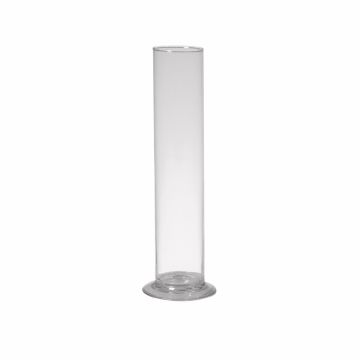 Vaso da fiori singoli ABIRAMY in vetro, base, trasparente 30cm, Ø6cm