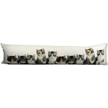Paravento decorativo WEIDER con motivo gattino, multicolore-bianco, 90x20x10 cm Paravento decorativo WEIDER con motivo gattino, multicolore-bianco, 90x20x10 cm