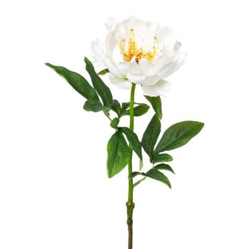 Fiore di plastica, peonia PEFIN, bianco, 50 cm