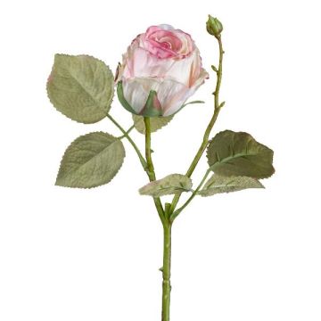 Fiore decorativo rosa ZORKLIN, rosa-crema, 45 cm, Ø 6,5 cm Fiore decorativo rosa ZORKLIN, rosa-crema, 45 cm, Ø 6,5 cm