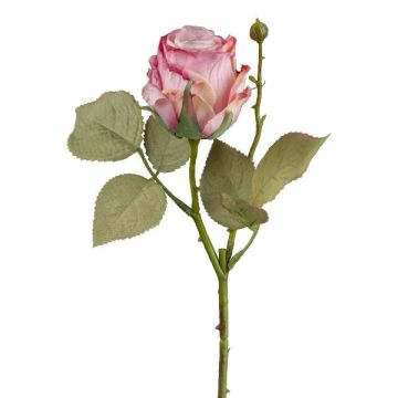 Fiore decorativo rosa ZORKLIN, rosa-fucsia, 45 cm, Ø 6,5 cm Fiore decorativo rosa ZORKLIN, rosa-fucsia, 45 cm, Ø 6,5 cm