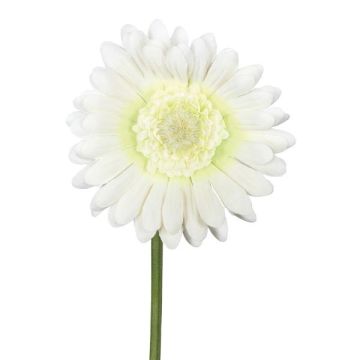 Fiore artificiale Gerbera TUNZA, color crema, 50 cm