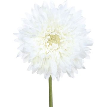 Fiore artificiale Gerbera MOLZA, bianco, 60 cm Fiore artificiale Gerbera MOLZA, bianco, 60 cm