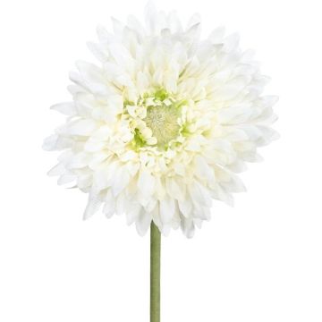 Fiore artificiale Gerbera MOLZA, color crema, 60 cm Fiore artificiale Gerbera MOLZA, color crema, 60 cm