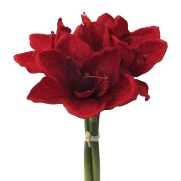 Mazzo di fiori sintetici Amaryllis LOMIRE, rosso, 30cm Mazzo di fiori sintetici Amaryllis LOMIRE, rosso, 30cm
