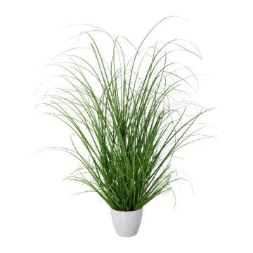 Erba decorativa pennisetum KIVRA in vaso decorativo, verde, 60cm